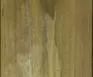 1698306509